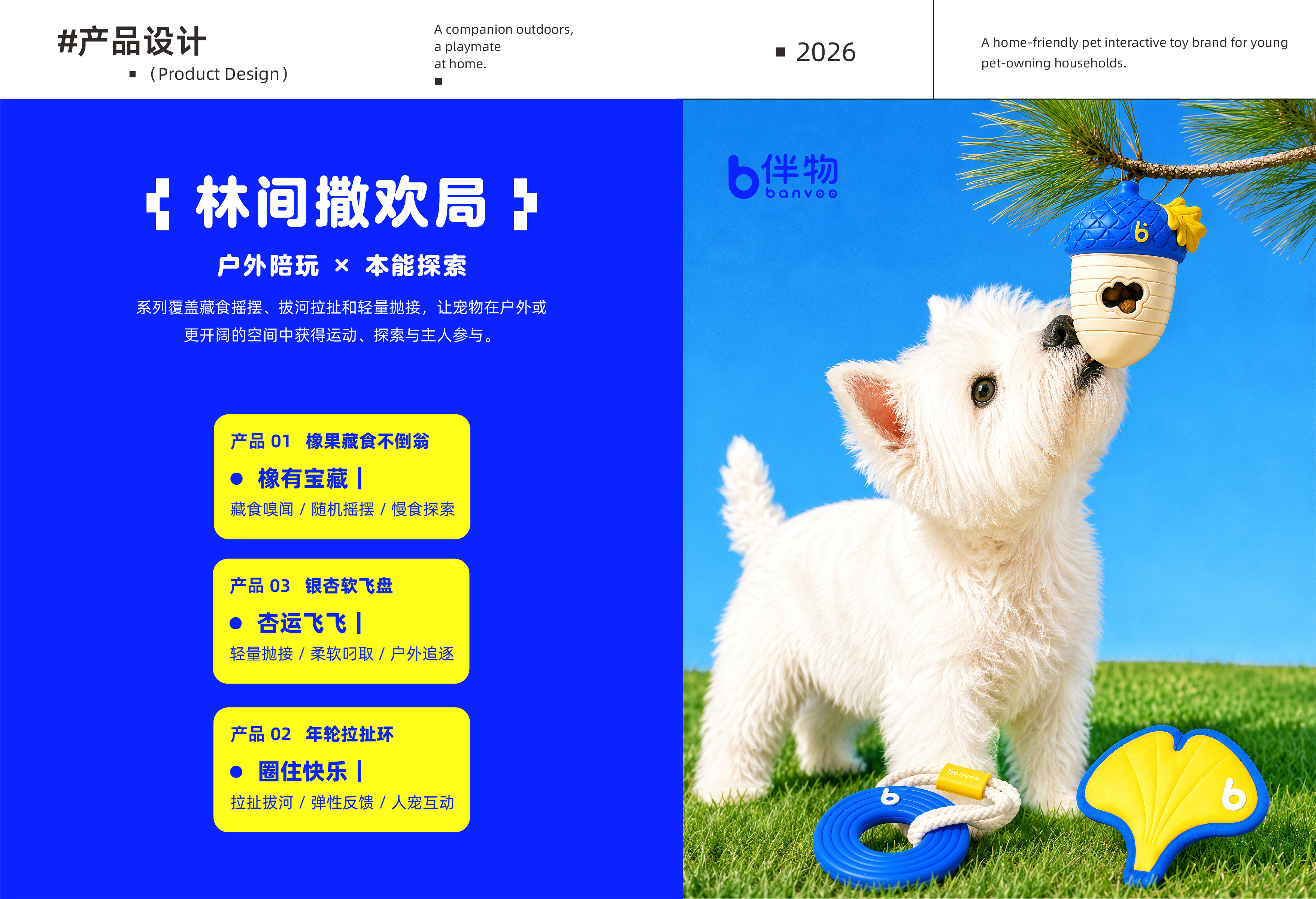 伴物 banvoo 项目过程 16