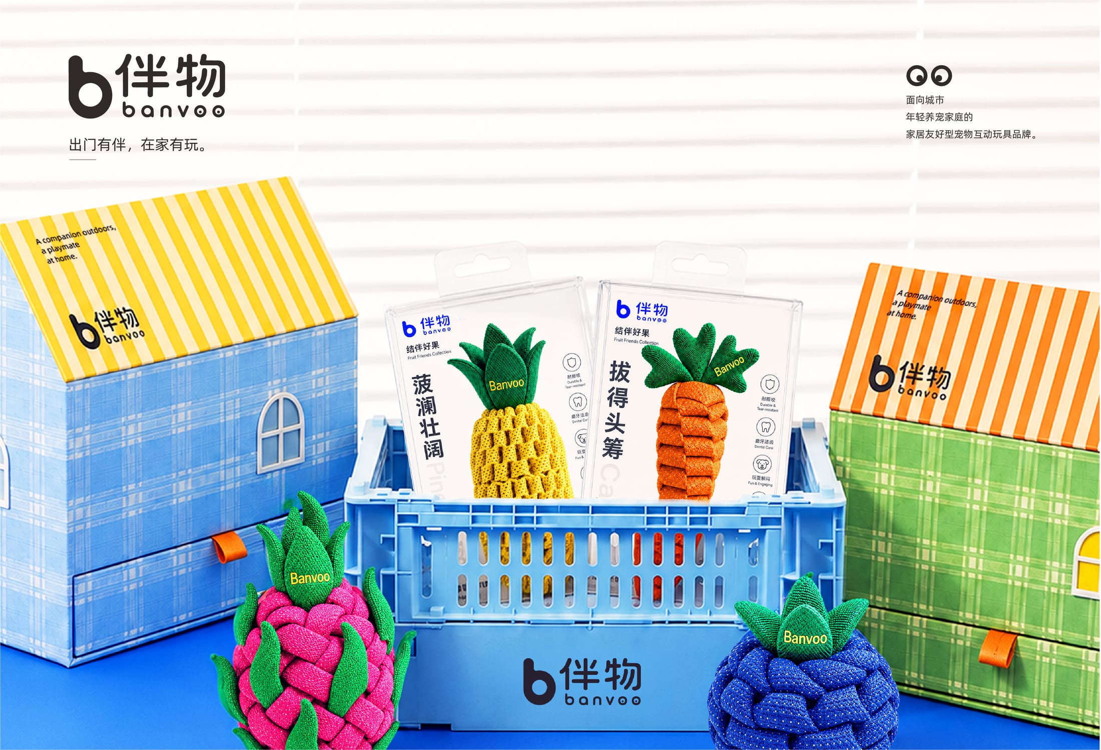 伴物 banvoo 品牌视觉设计